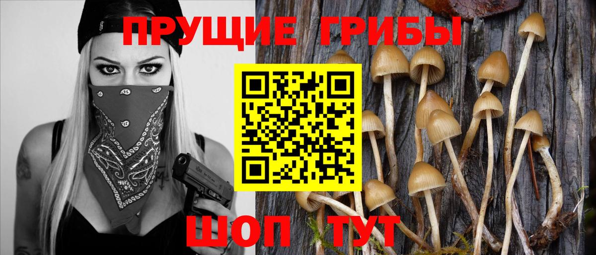 Псилоцибиновые грибы мухоморы  Вход с VPN  купить наркотик  Набережные Челны 
